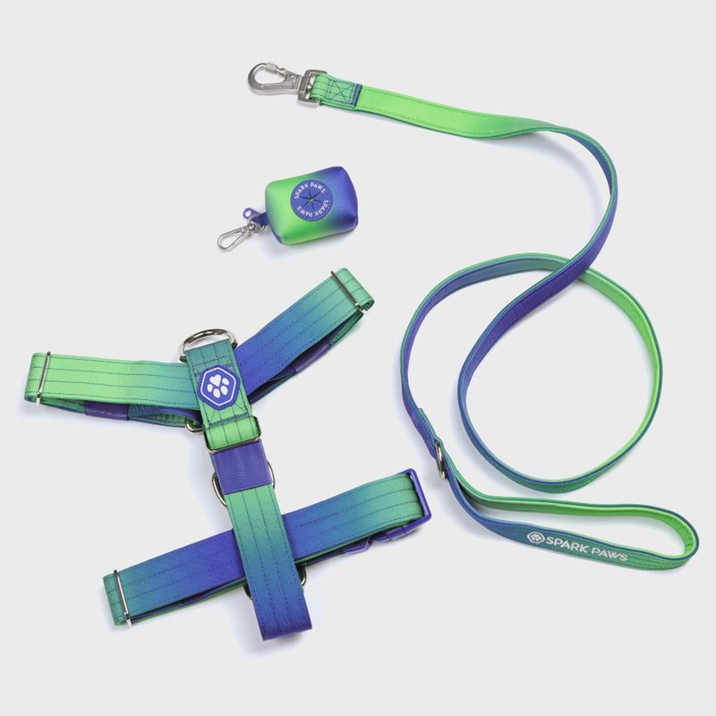 Conjunto de arreios para cães sem puxão com controle de conforto - Lime Wave