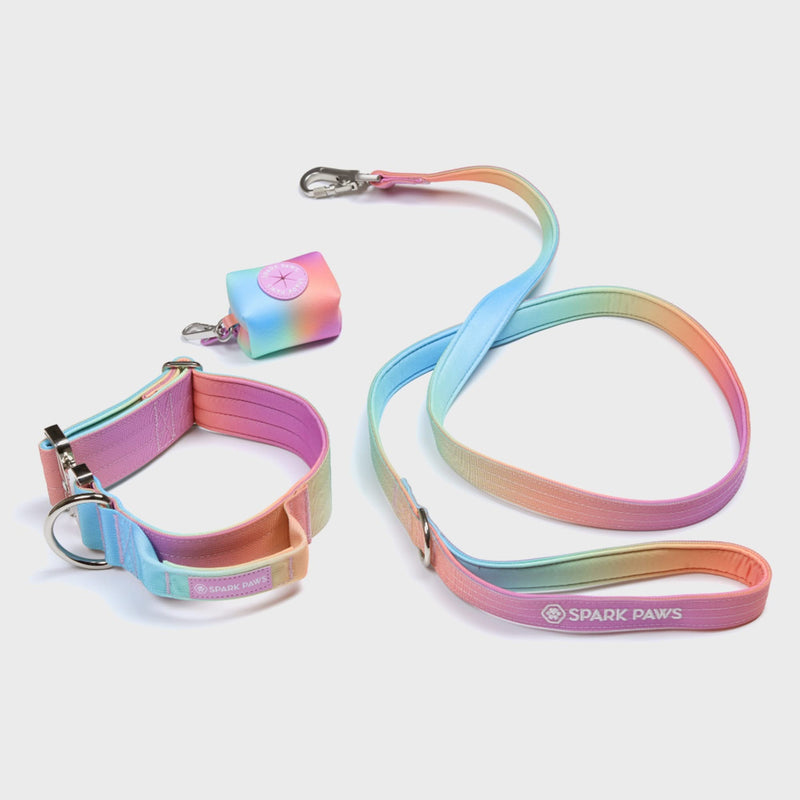 Conjunto de coleiras táticas para cães - glacê pastel (2"/5cm)