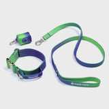 Conjunto de coleiras táticas para cães - Lime Wave (2"/5cm)
