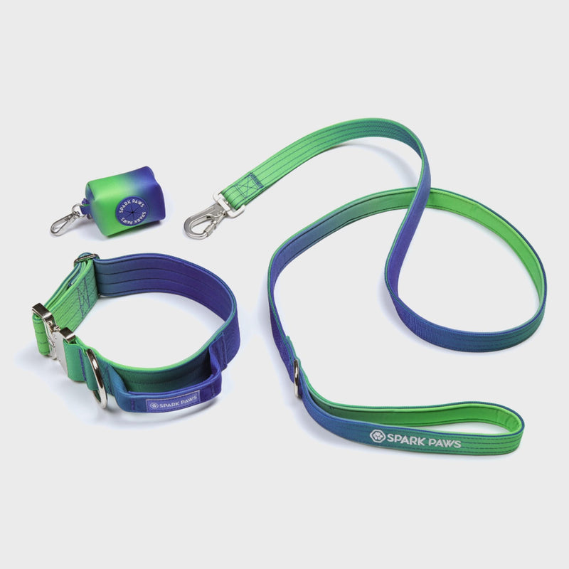 Conjunto de coleiras táticas para cães - Lime Wave (2"/5cm)