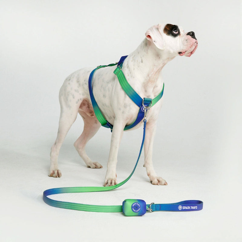 Arnês para cães sem tração com controle de conforto - Lime Wave