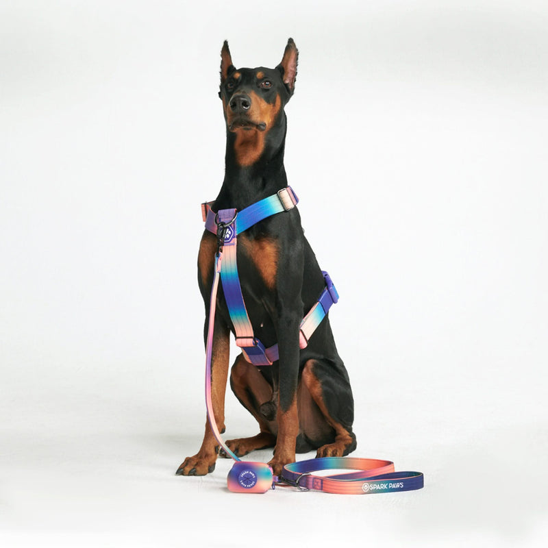Conjunto de arreios para cães sem puxão com controle de conforto - Caleidoscópio