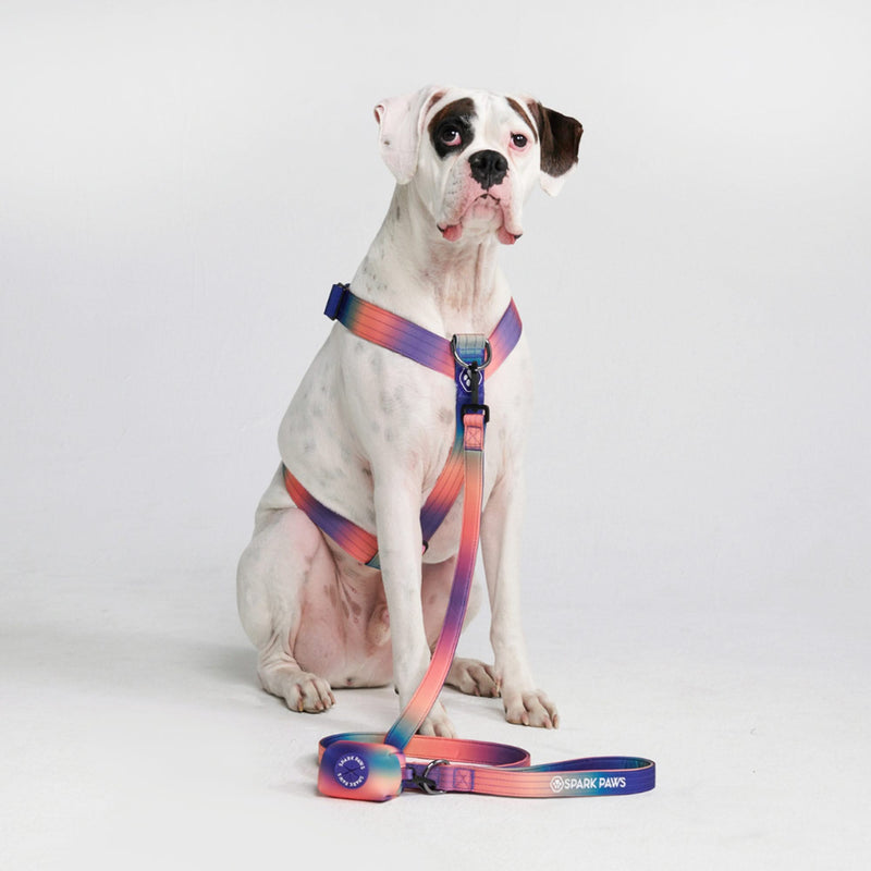 Conjunto de arreios para cães sem puxão com controle de conforto - Caleidoscópio