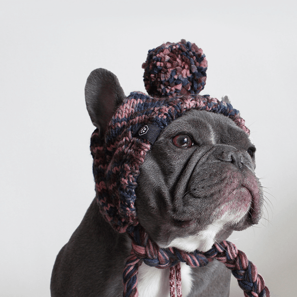 Gorro de tricô pom pom para cachorro - Castanho