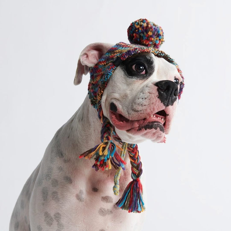Gorro de tricô pom pom para cachorro - Caleidoscópio