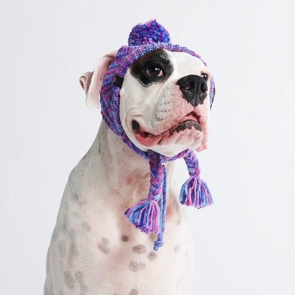 Gorro de tricô pom pom para cachorro - Roxo e lavanda