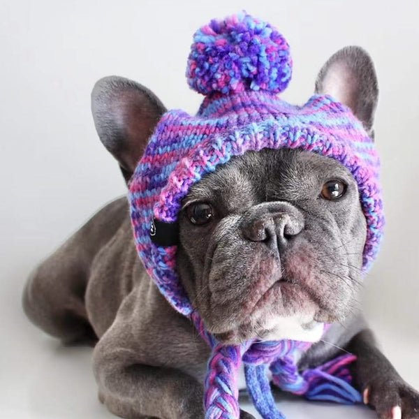 Gorro de tricô pom pom para cachorro - Roxo e lavanda